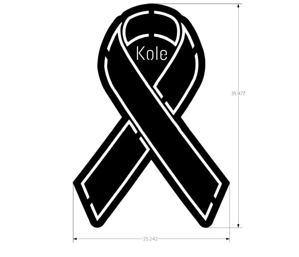 Custom Order for Backlighted "Kole" Ribbon